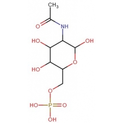Sól disodowa N-acetylo-D-glukozaminy 6-fosforanu [102029-88-9]